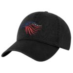American Flag Eagle Hat – Embroidered Bald Eagle Head in Red, White & Blue – Patriotic Dad Cap