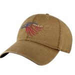American Flag Eagle Hat – Embroidered Bald Eagle Head in Red, White & Blue – Patriotic Dad Cap
