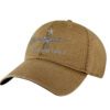 Come and Take It Hat - Embroidered AR-15 and Slogan - 2A Patriotic Baseball Cap