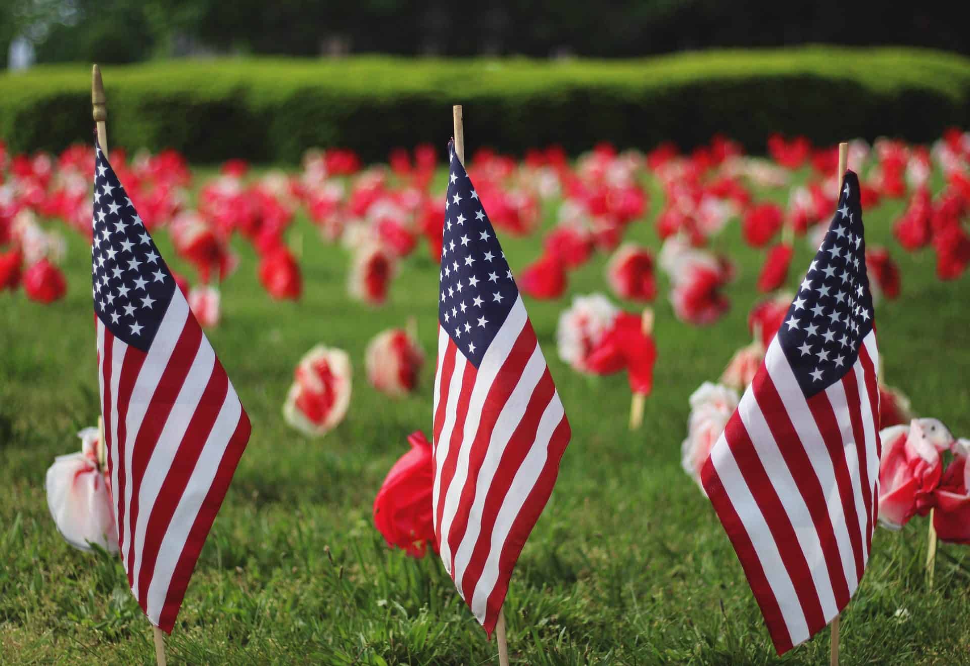 American flags on a green field with red and white flowers in the background.